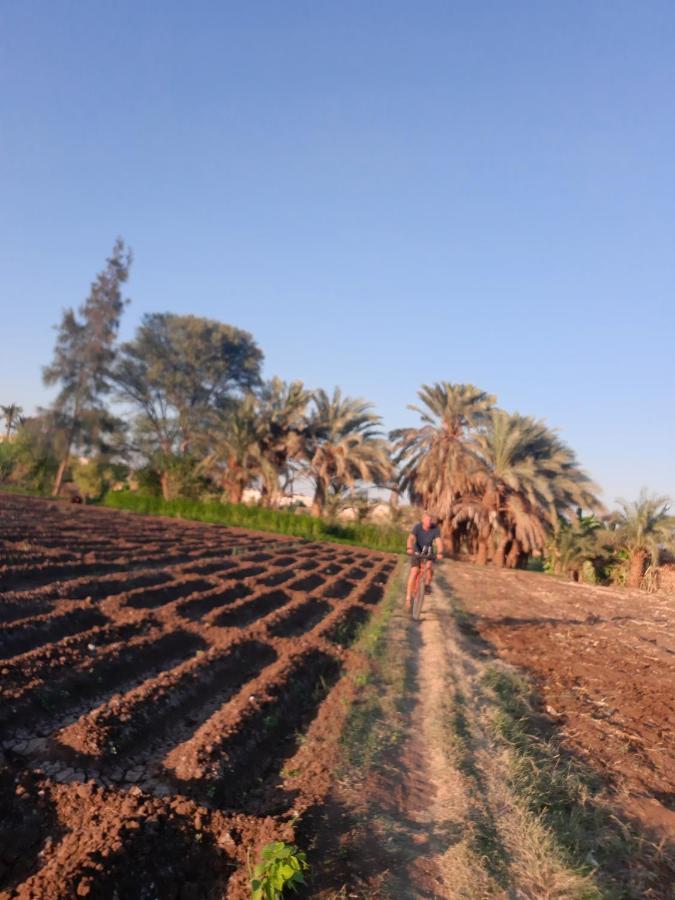 Village Room In The Countryside Minya Exterior photo
